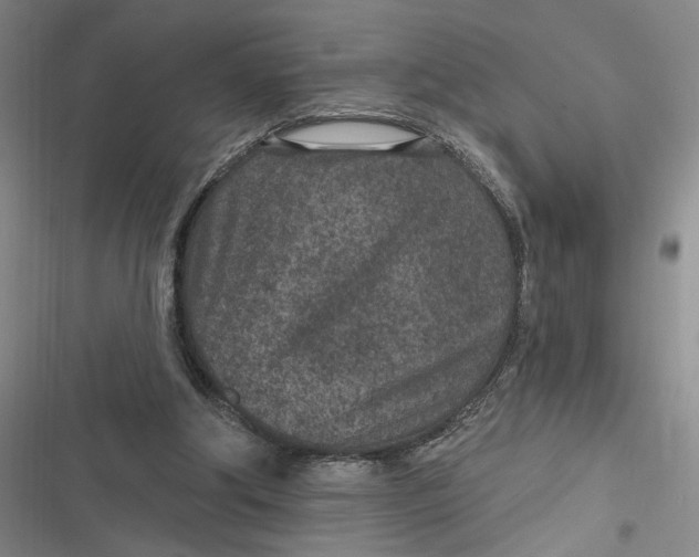 X0000116890202201001121350