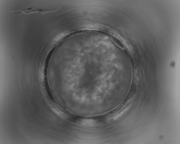 X0000116890203201001121350