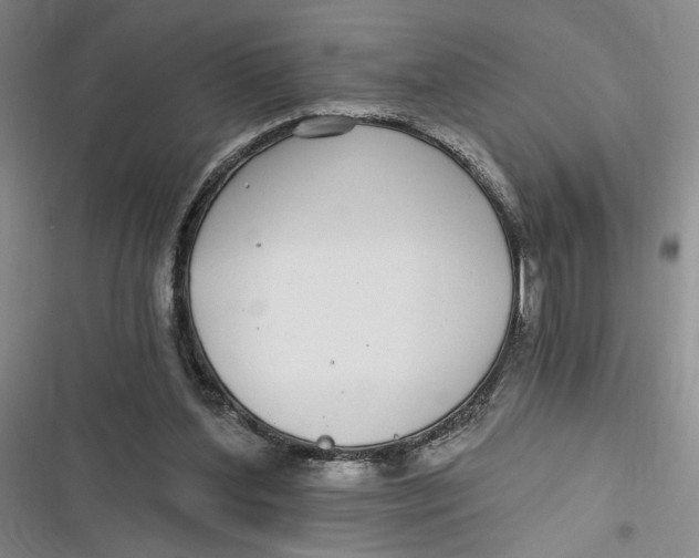 X0000116890204201001121350