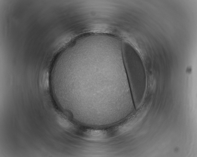 X0000116890205201001121350