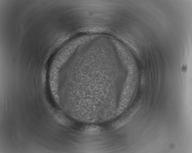 X0000116890206201001121350