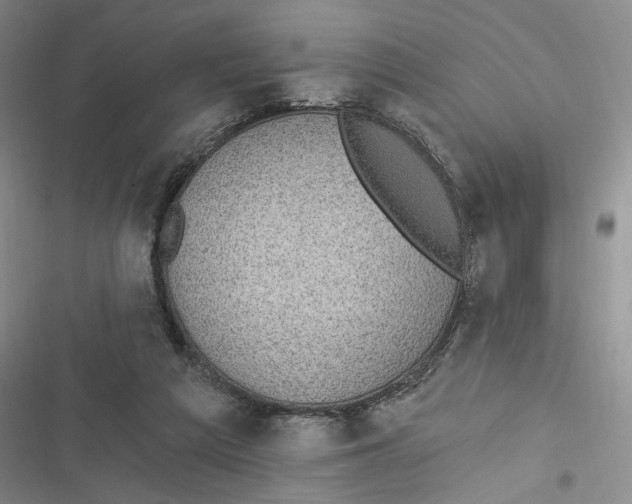 X0000116890209201001121350