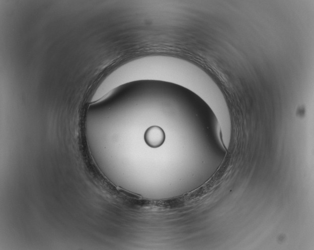 X0000116890211201001121350