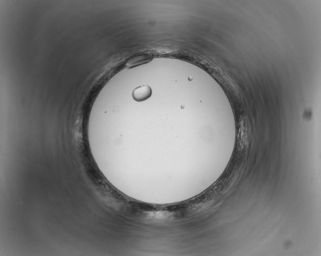 X0000116890212201001121350