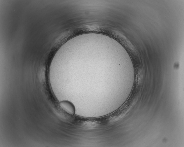 X0000116890213201001121350