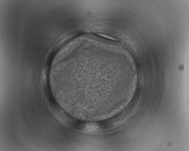 X0000116890214201001121350