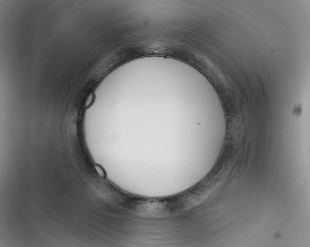 X0000116890217201001121350