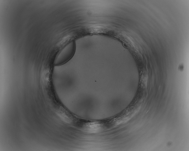 X0000116890219201001121350