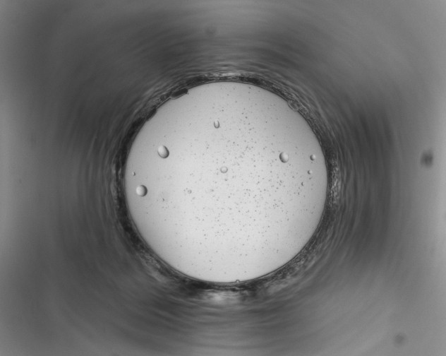 X0000116890220201001121350