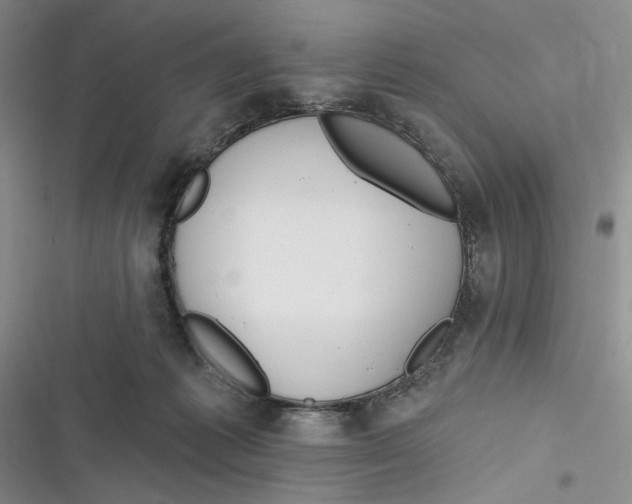 X0000116890221201001121350