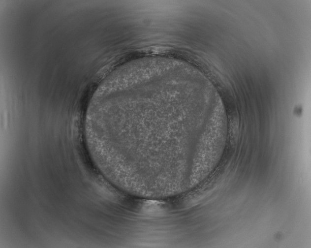 X0000116890222201001121350