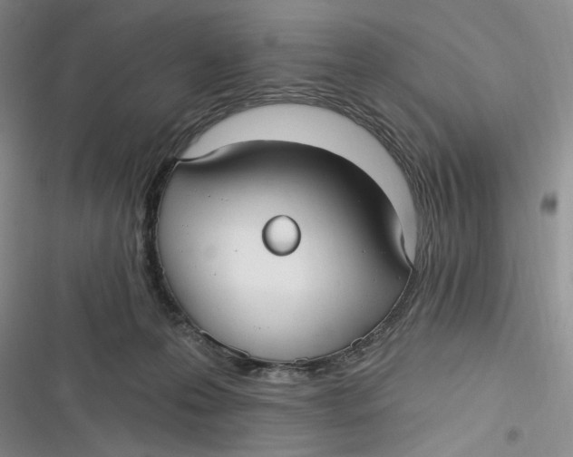 X0000116890223201001121350