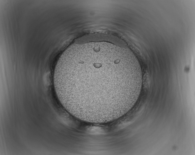 X0000116890224201001121350