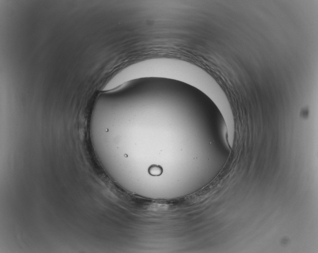 X0000116890227201001121350