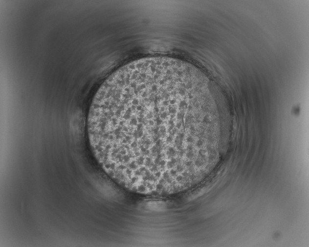 X0000116890228201001121350