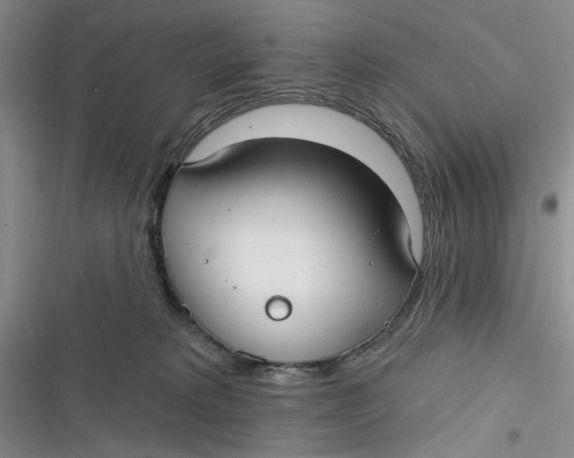 X0000116890229201001121350