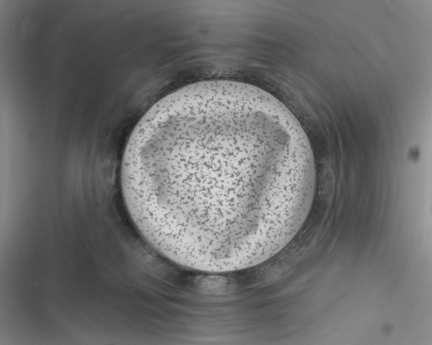 X0000116890230201001121350