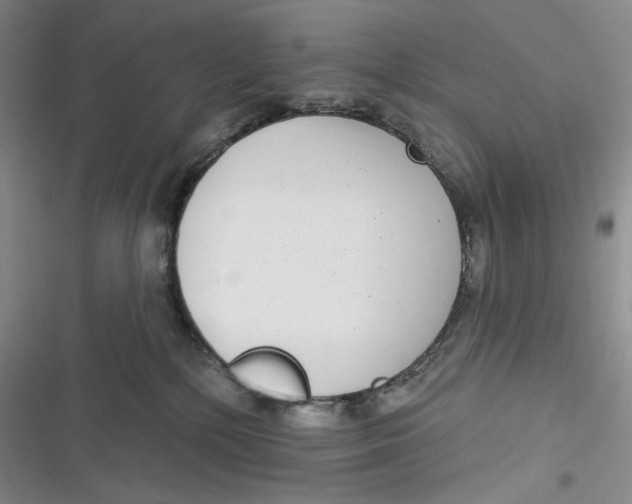 X0000116890232201001121350