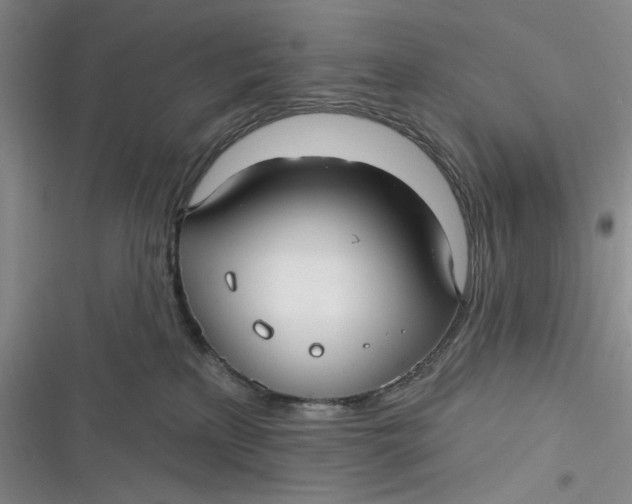 X0000116890233201001121350