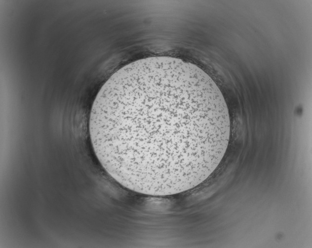 X0000116890234201001121350