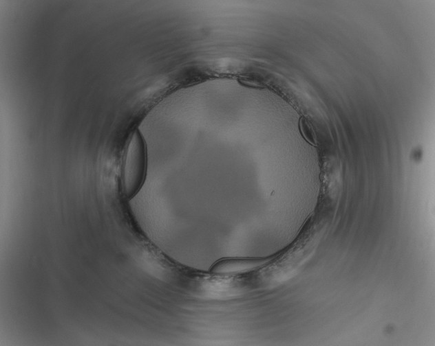 X0000116890235201001121350