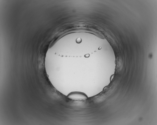 X0000116890236201001121350