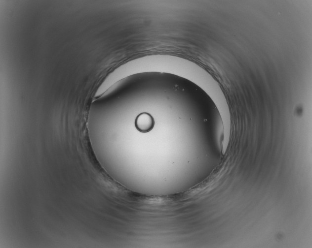 X0000116890237201001121350