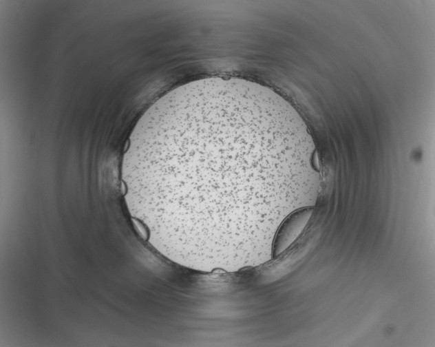 X0000116890238201001121350