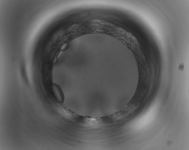 X0000116890239201001121350