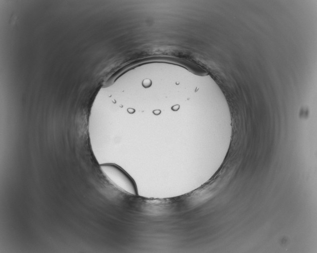 X0000116890240201001121350