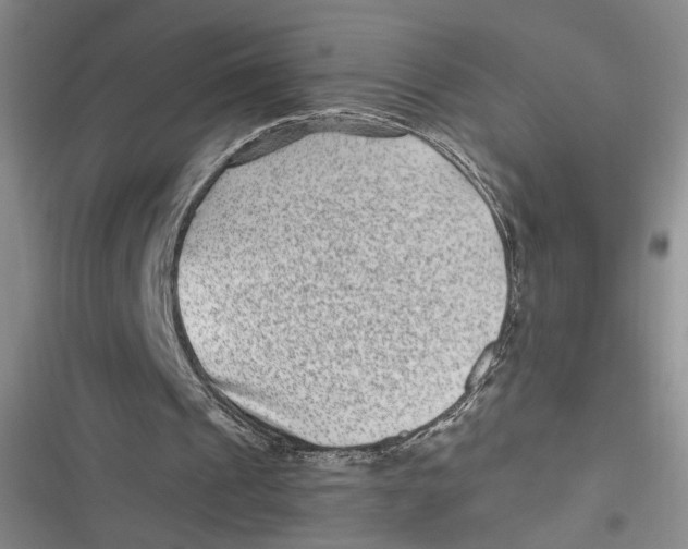 X0000116890241201001121349