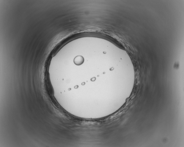 X0000116890242201001121349