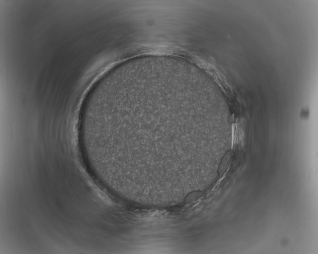 X0000116890243201001121349