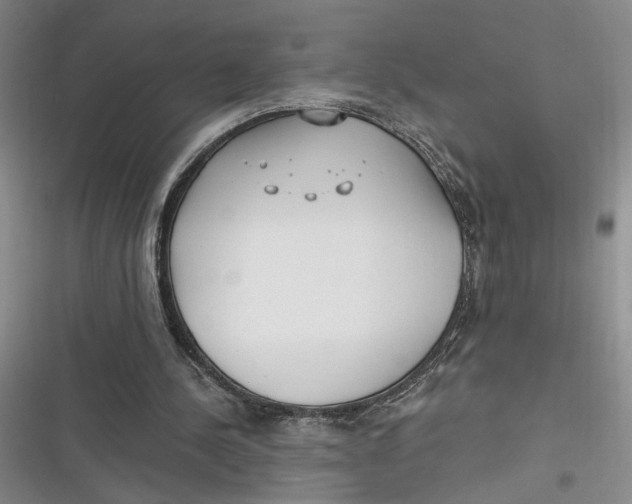 X0000116890244201001121349