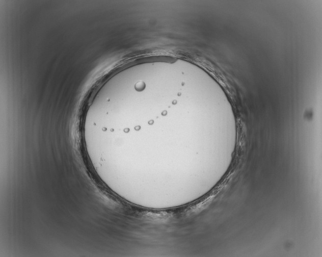 X0000116890245201001121349