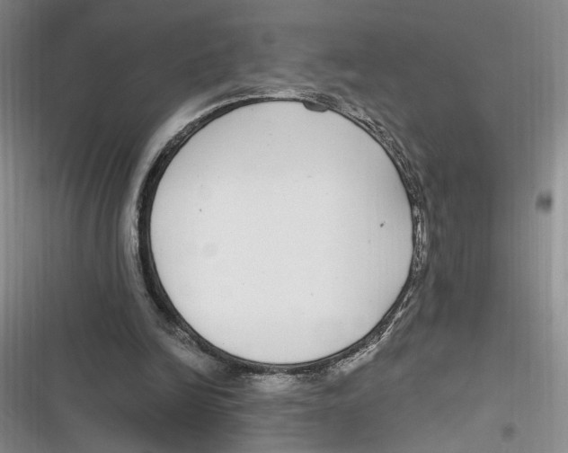 X0000116890246201001121349