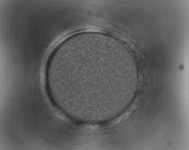 X0000116890247201001121349