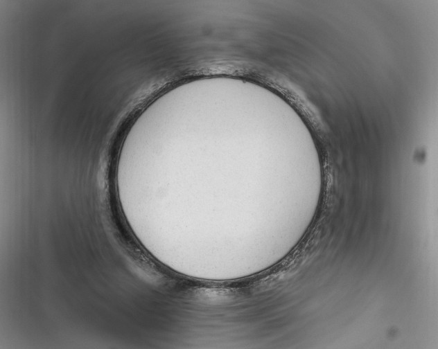 X0000116890250201001121349