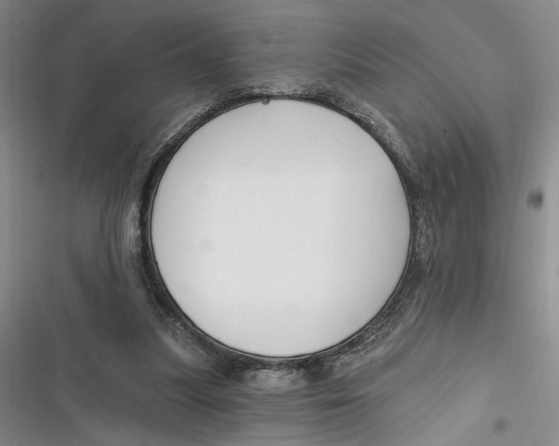 X0000116890251201001121349