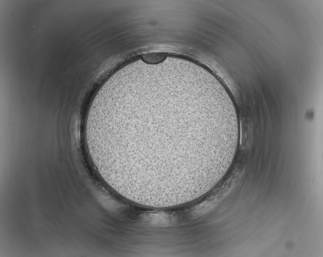 X0000116890253201001121349