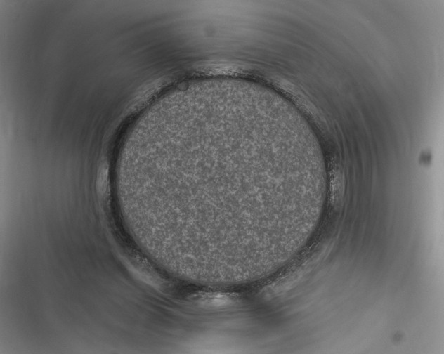 X0000116890254201001121349