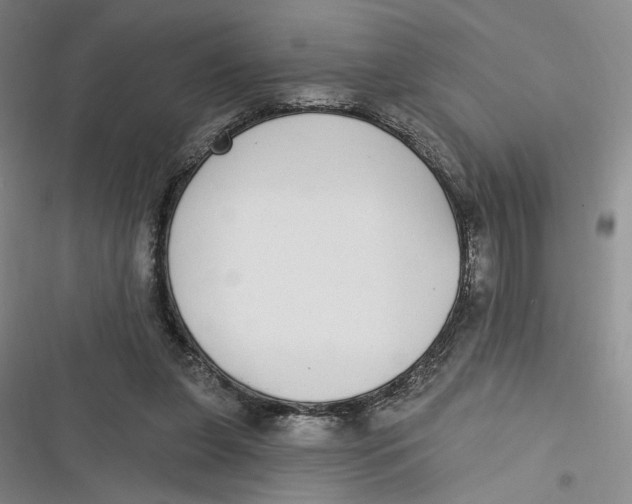 X0000116890255201001121349