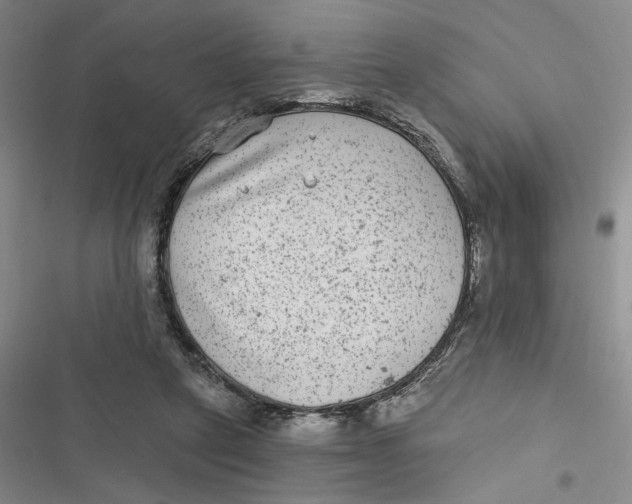 X0000116890257201001121349