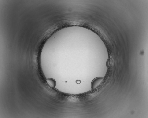 X0000116890258201001121349