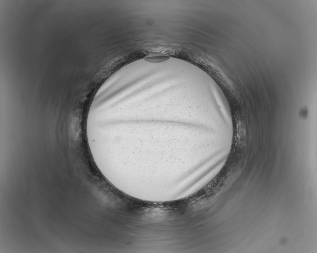 X0000116890259201001121349