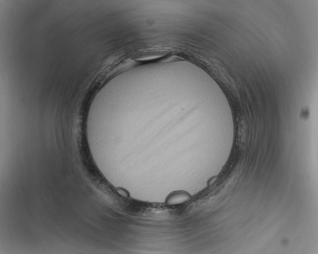 X0000116890260201001121349