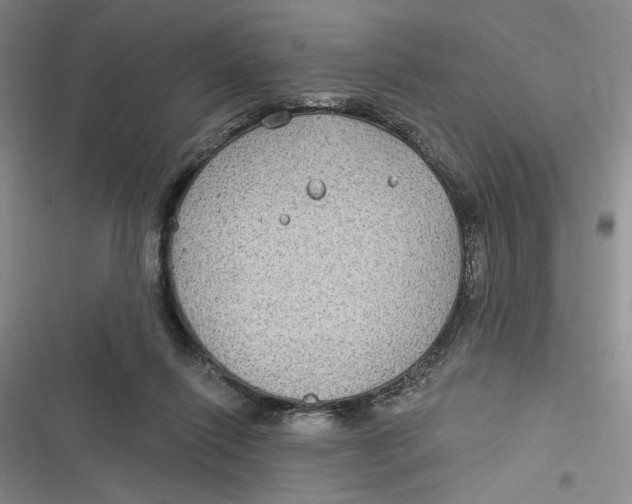 X0000116890262201001121349