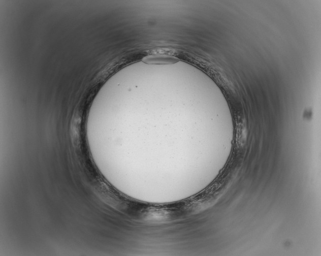 X0000116890263201001121349