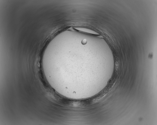 X0000116890264201001121349