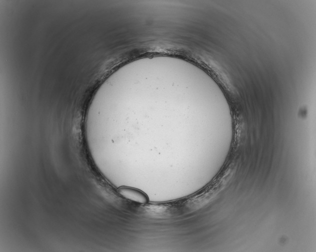 X0000116890265201001121349